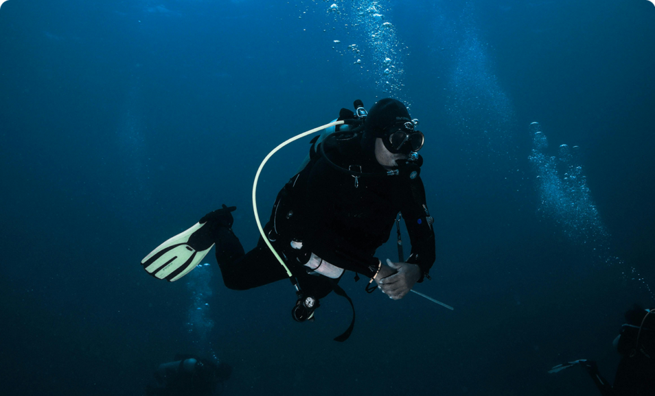 Diving and snorkeling